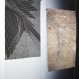 Installation view, Artspace Studio 11
